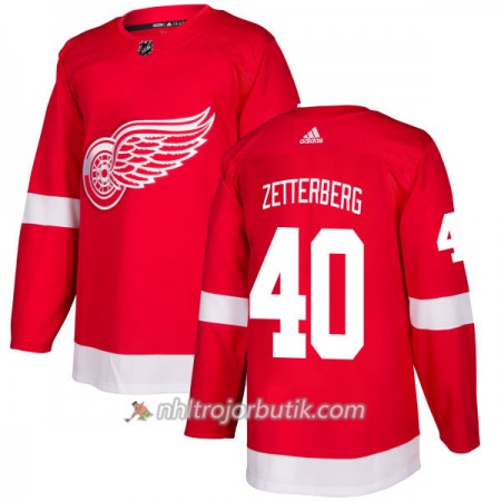 Män Ishockey Detroit Red Wings Tröja Henrik Zetterberg 40 Adidas 2017-2018 Röd Authentic